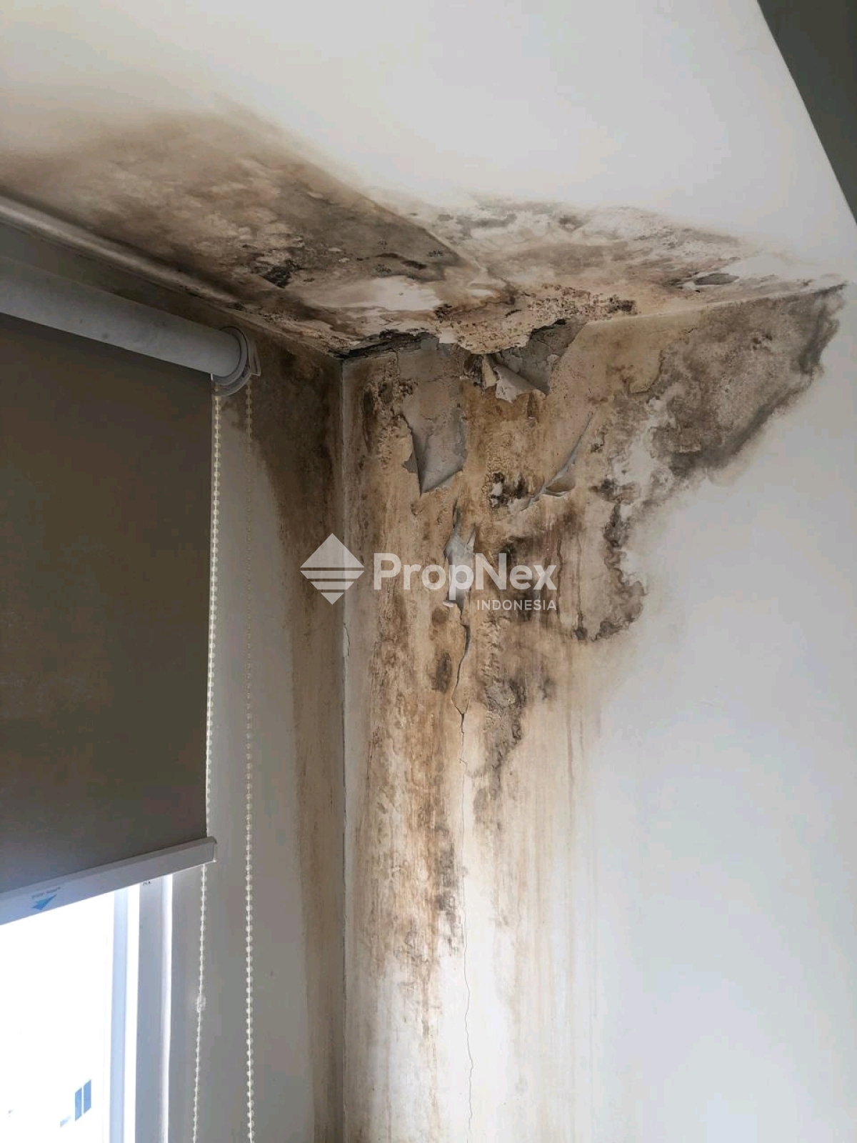 MURAH UC *Tower Berkley*1BR — foto 6