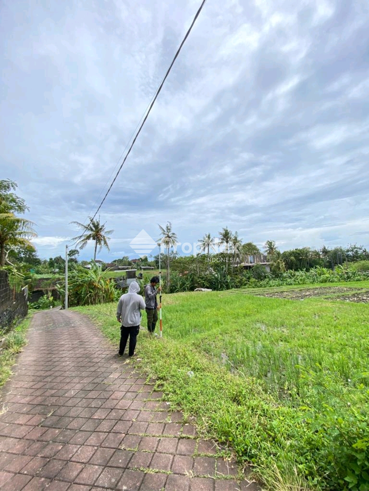 DIJUAL KAVLING CANGGU BALI