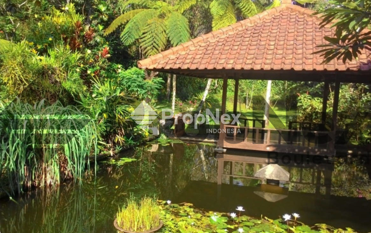 Villa EKSKLUSIF Kawasan Sejuk Trawas — foto 5