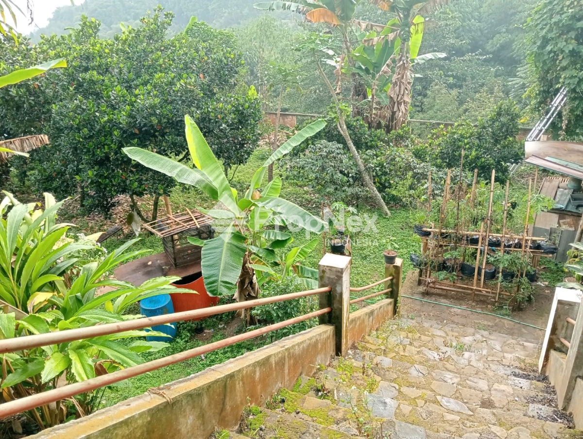 Jual Tanah Villa Dago Atas — foto 3