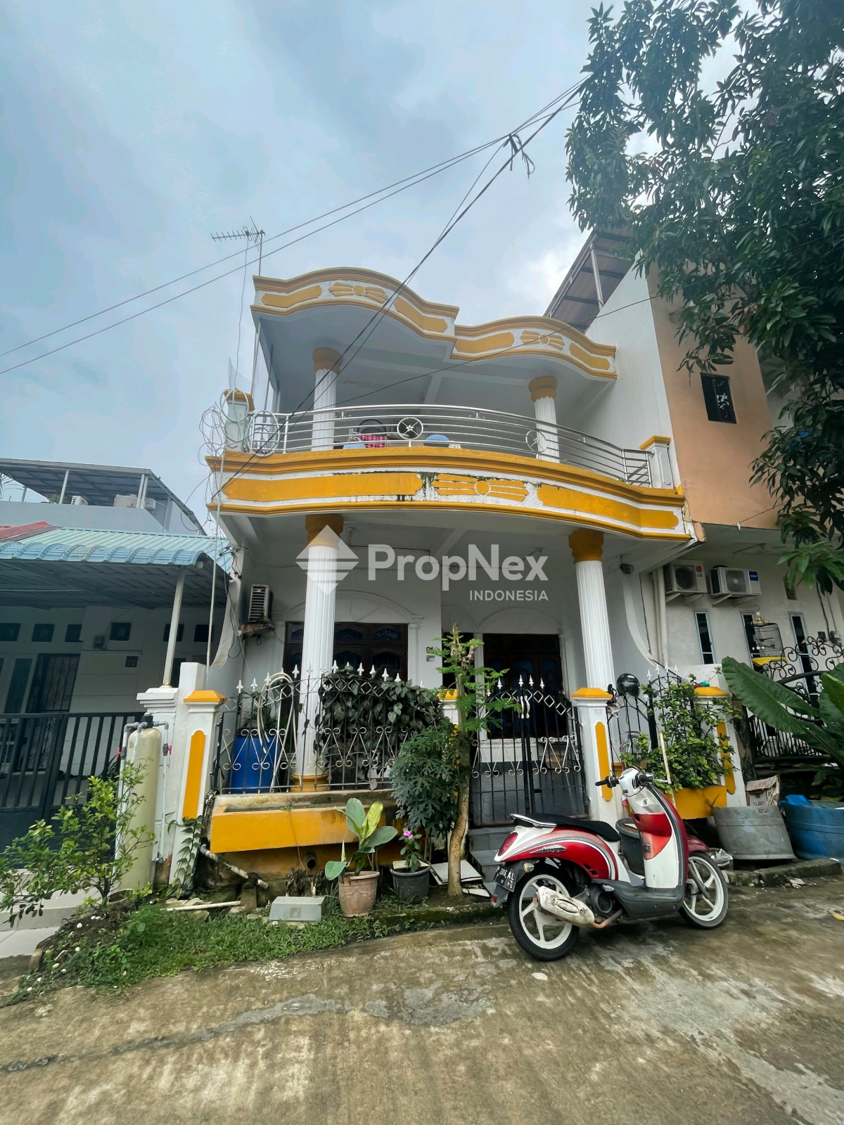Anggrek Mas 1
