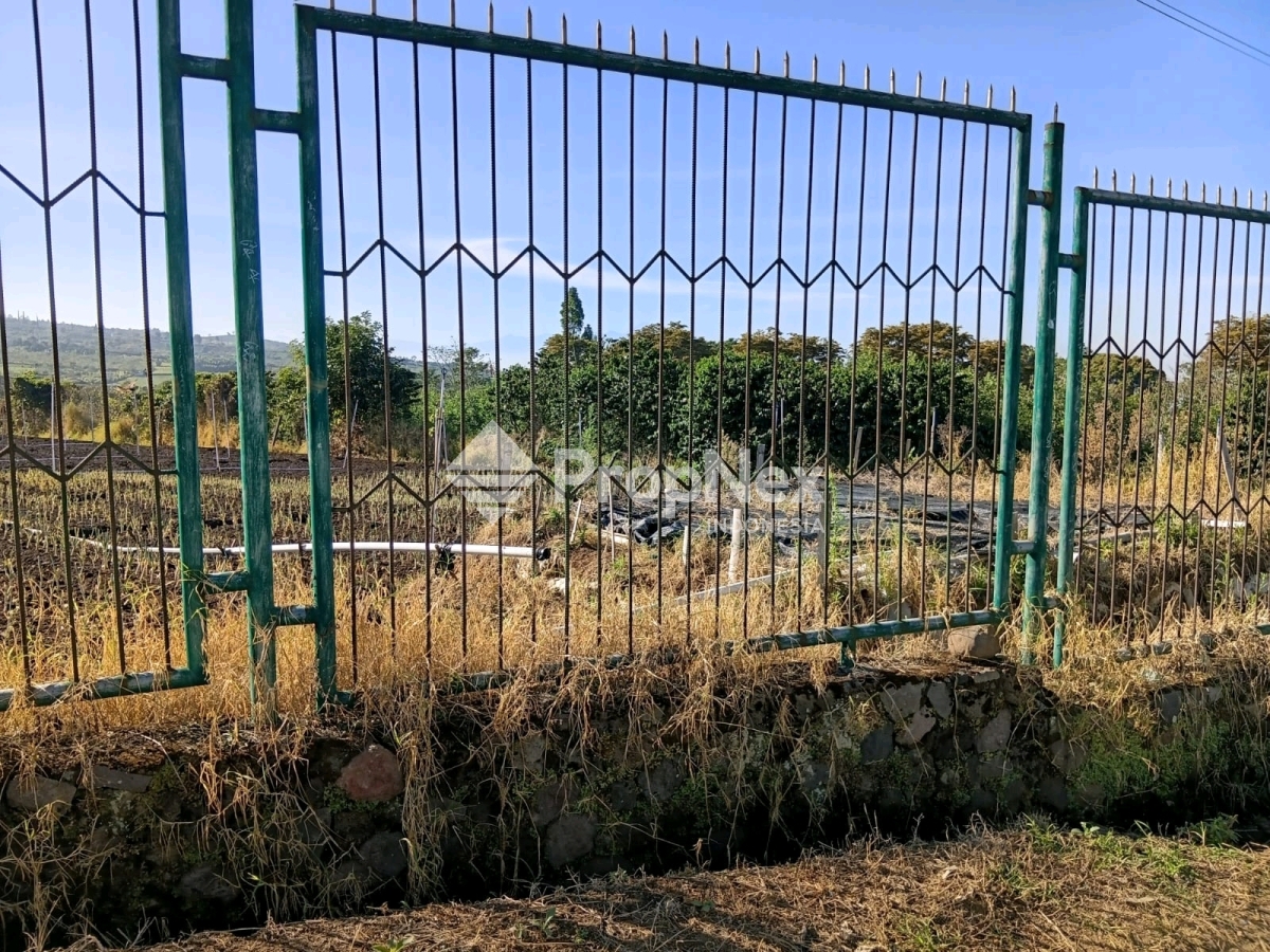 TANAH siap di bangun VILLA di BATU — foto 2
