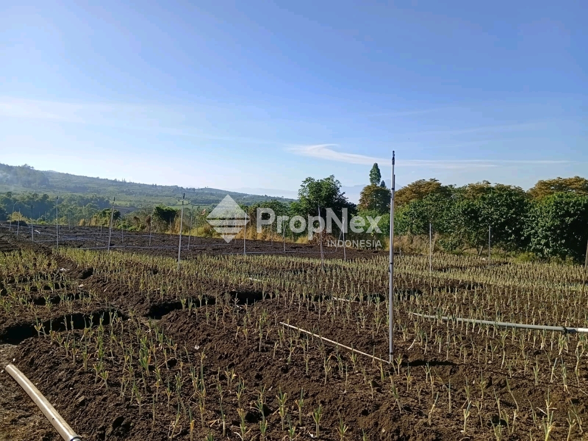 TANAH siap di bangun VILLA di BATU — foto 4