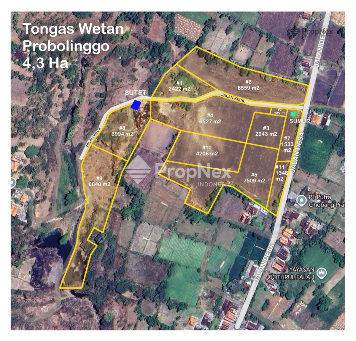 Tanah Tongas Wetan Probolinggo (IF) — foto 2