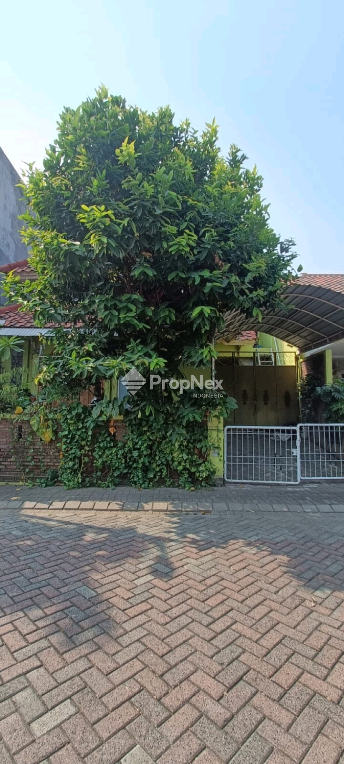 Rumah Terawat Citraland Gwalk International Village