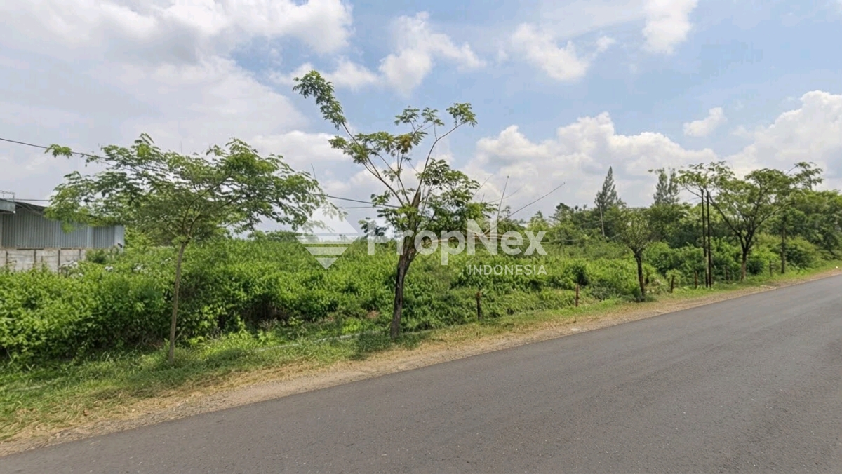 Tanah nol Jl Raya Tuban Babat dijual murah — foto 3