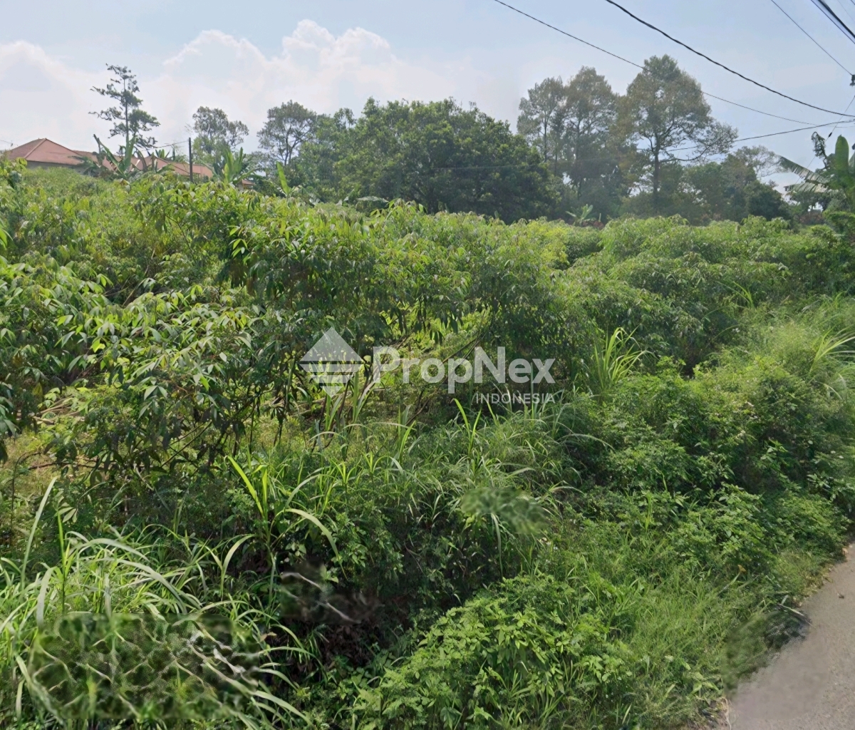 Tanah Strategis Prigen Pasuruan Cocok Untuk Villa & Perkebunan — foto 4