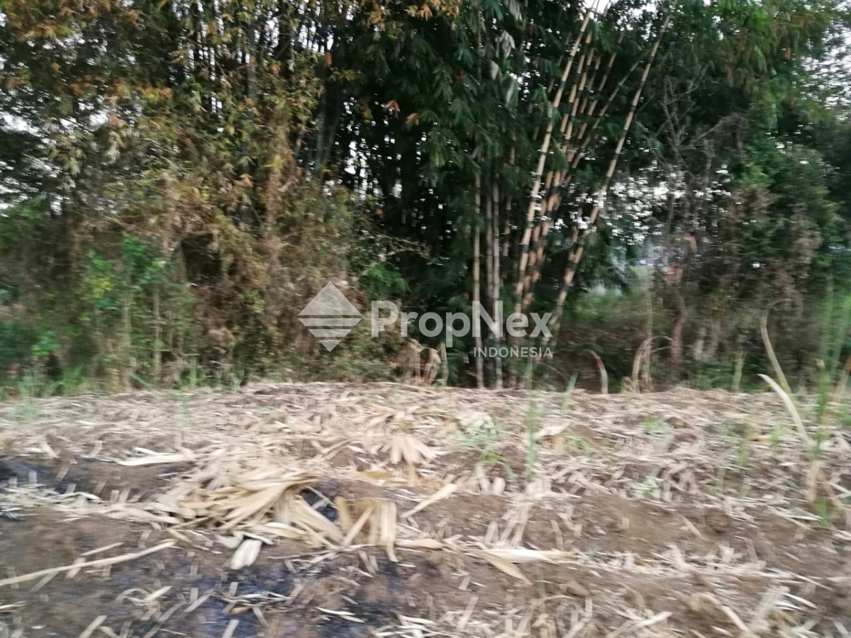 Dijual Tanah di Malang