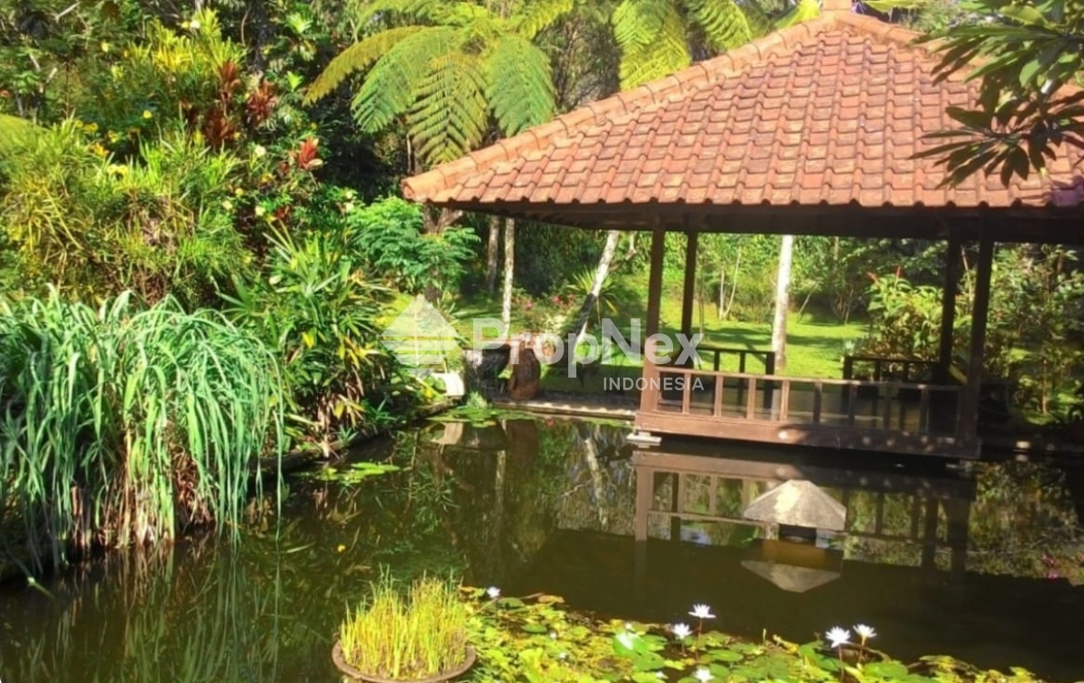 Villa EKSKLUSIF Kawasan Sejuk Trawas (DB) — foto 2