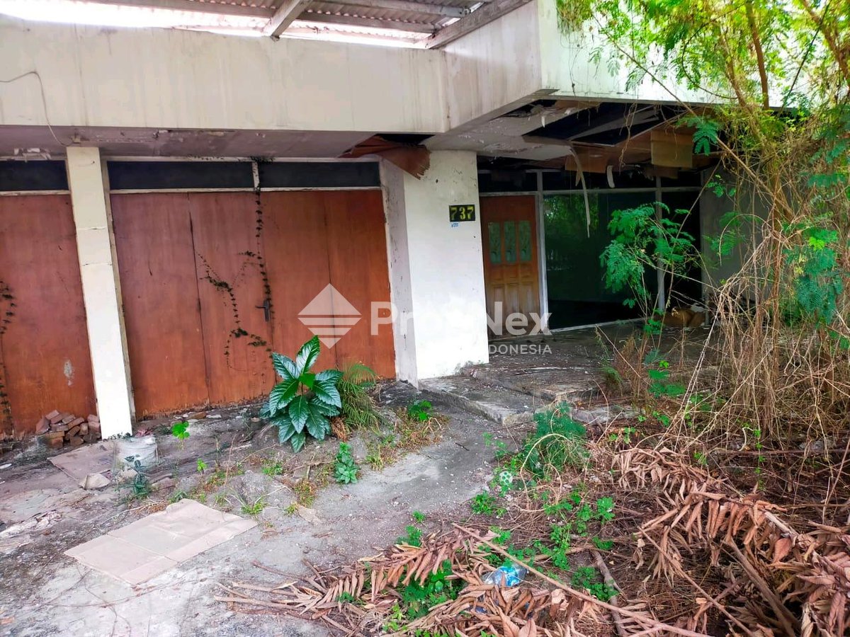 Bintang Diponggo — foto 2