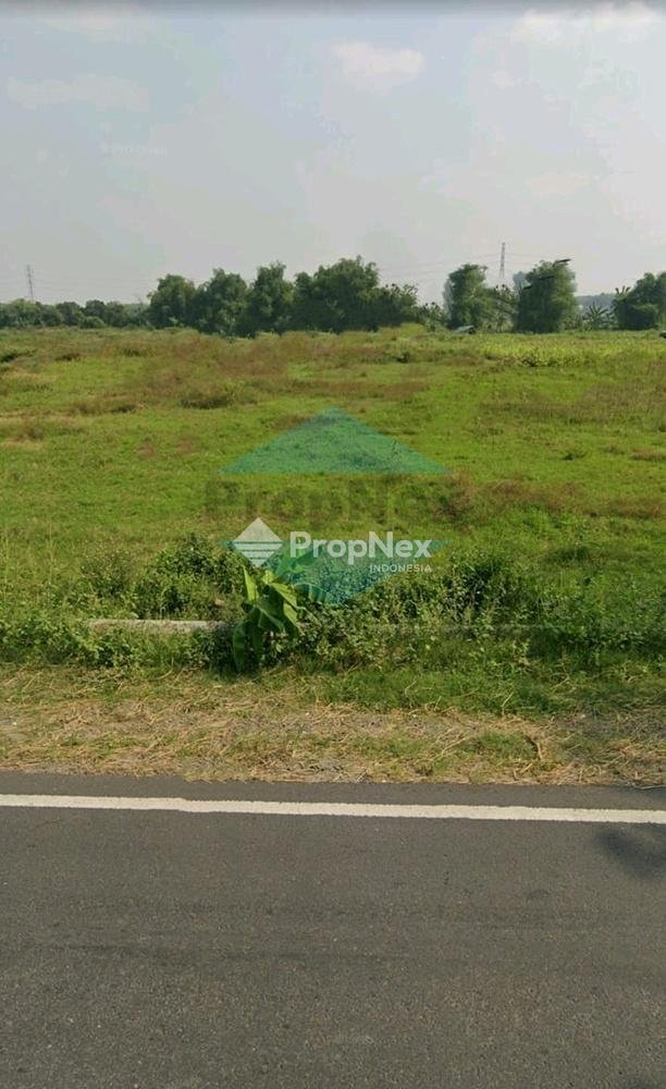 Raya Pantura , Raya Babat Tuban