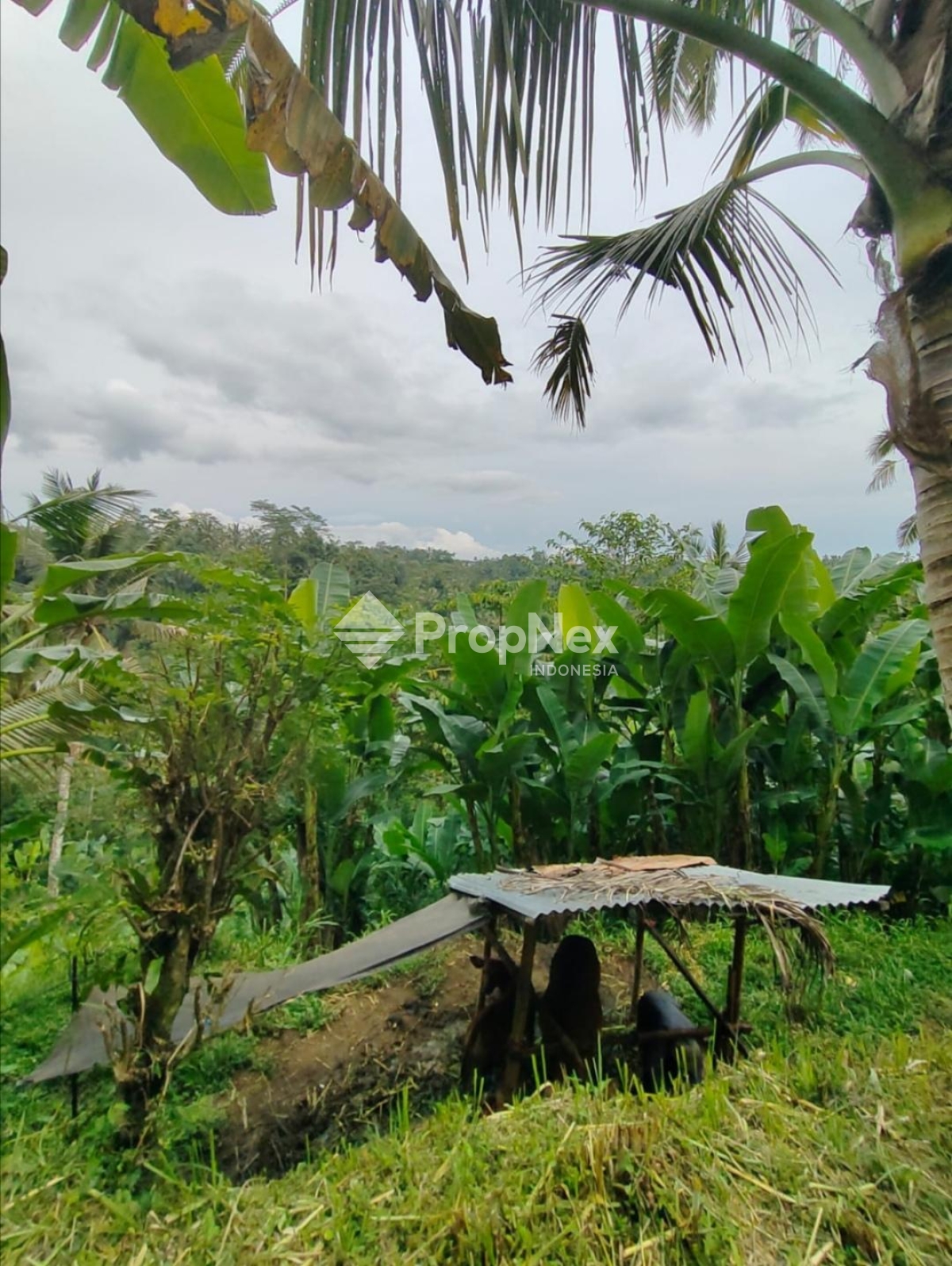 Ubud Bali