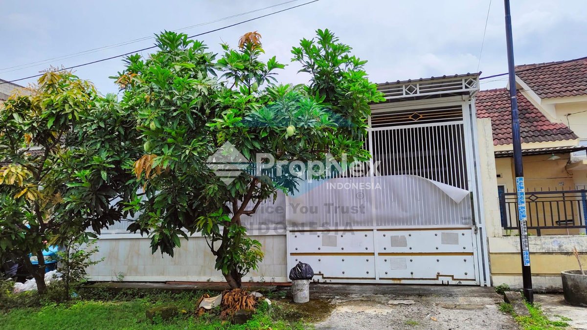 Phirus Hijau Driyorejo Gresik
