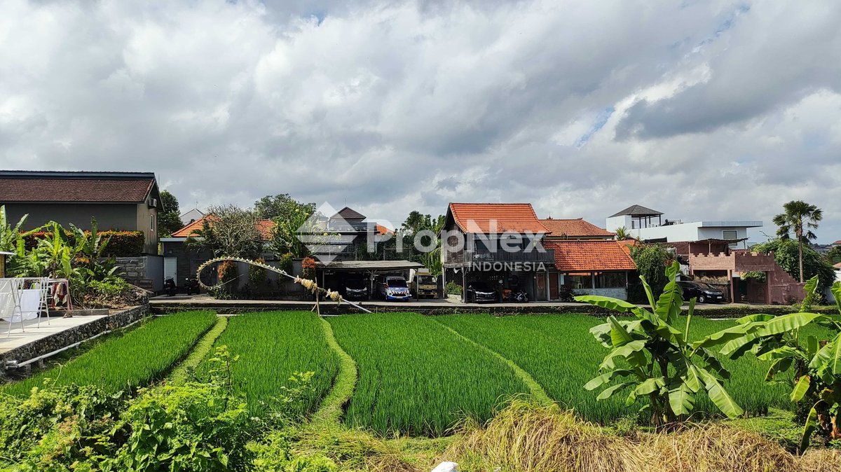 Canggu BATU BOLONG Bali