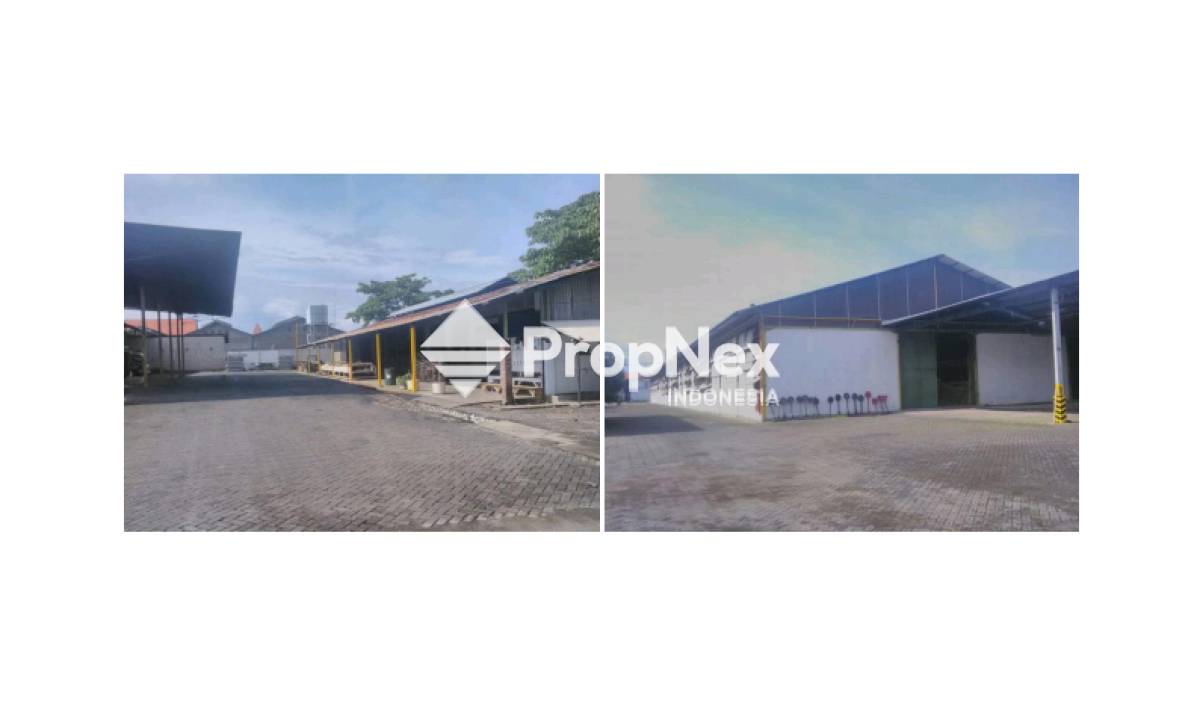 Pabrik Pengolahan Kayu Probolinggo Kota