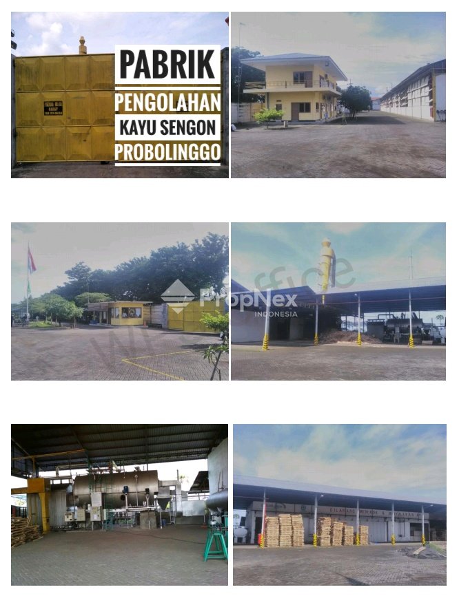 Pabrik Pengolahan Kayu Probolinggo Kota — foto 2