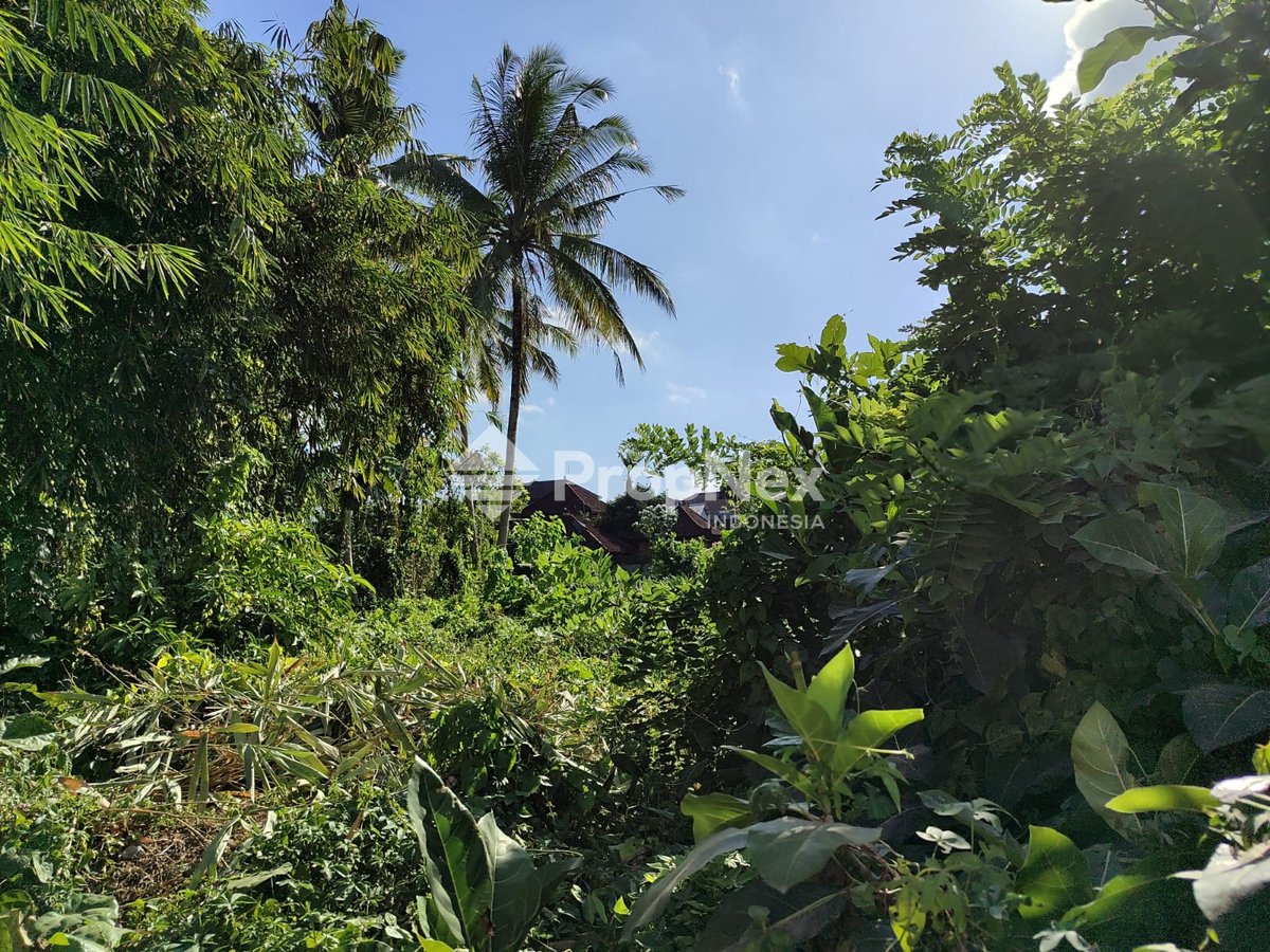 Tanah Sentral Ubud Bali