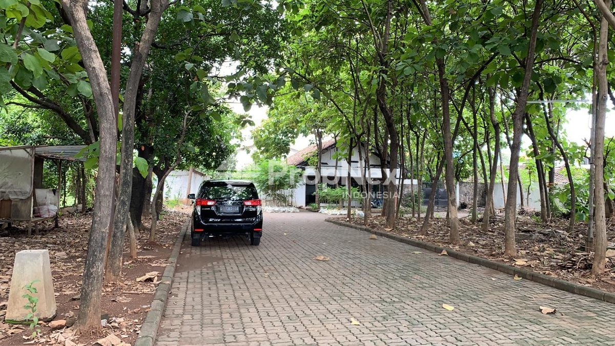 Raya Trosobo — foto 3