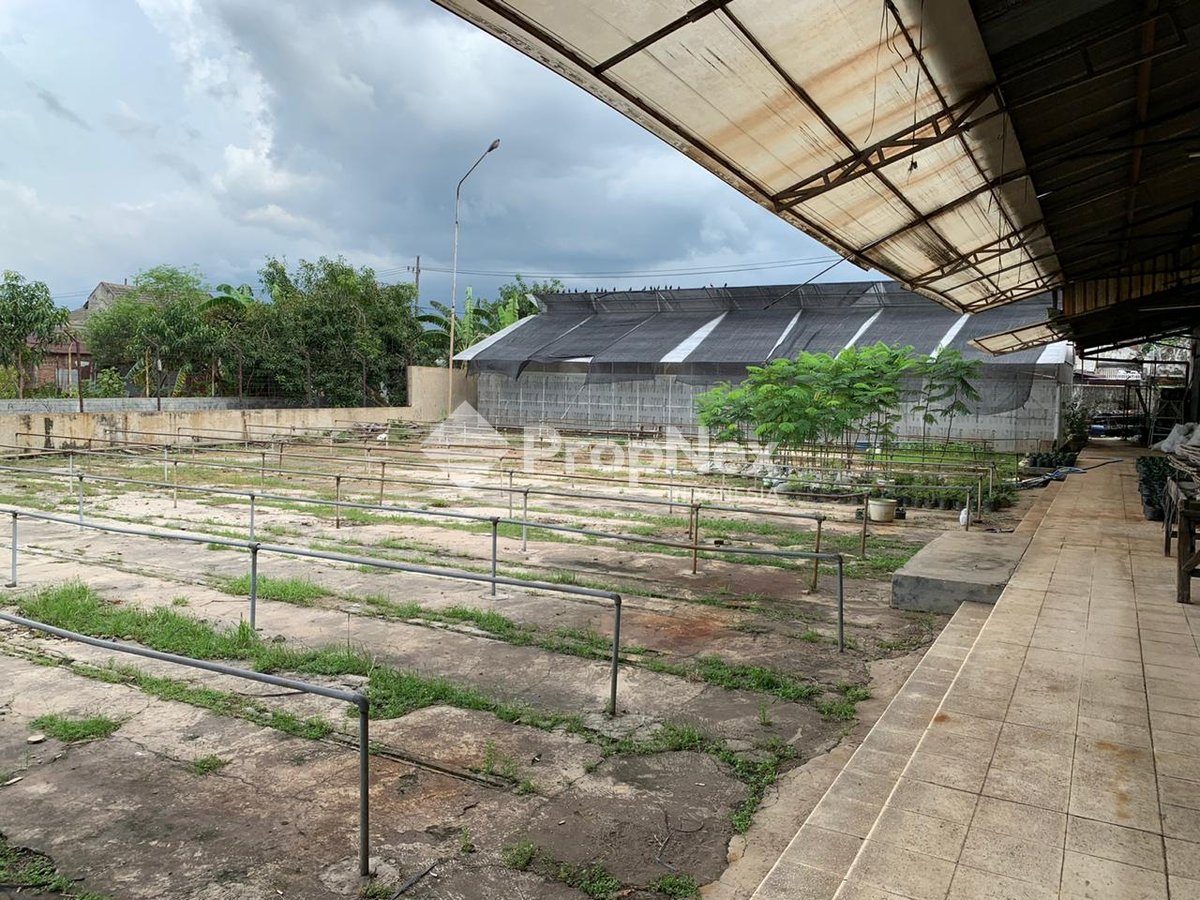 Raya Trosobo — foto 6