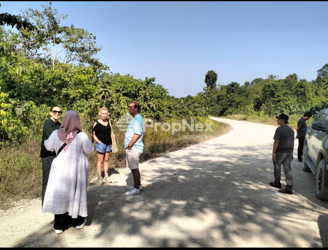 Tanah IKN,Cocok untuk Investasi