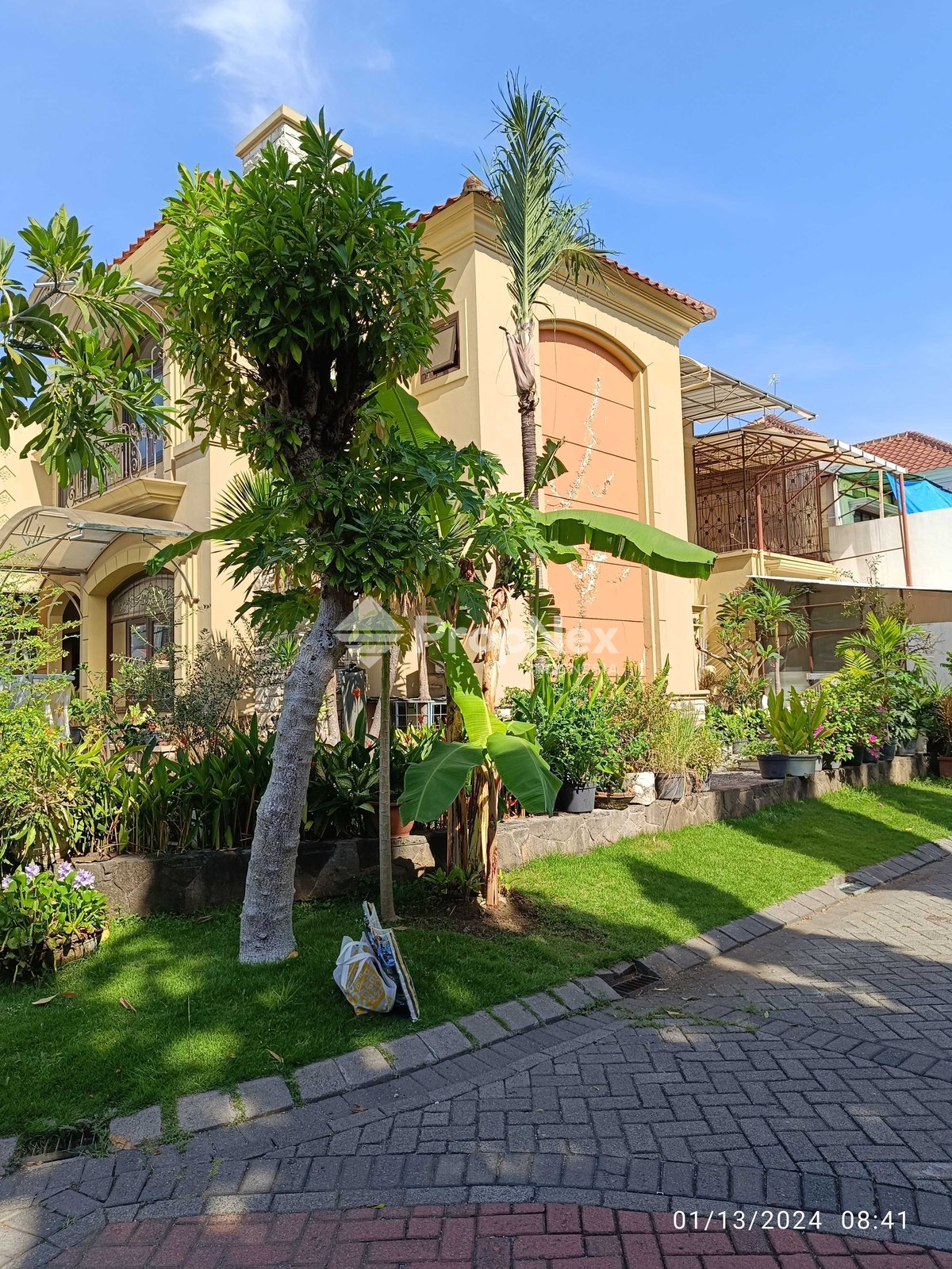wisata bukit mas Madrid — foto 6