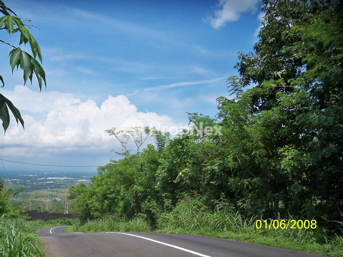 Lahan buat usaha Tutur Pasuruan.