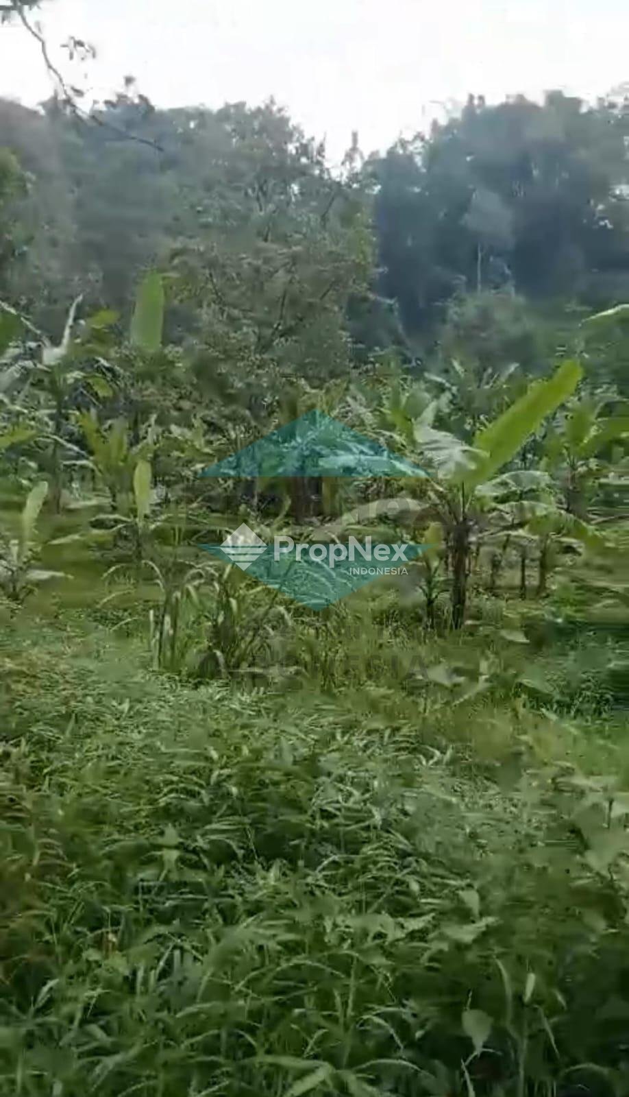 Dijual Tanah Trawas daerah Sekuti