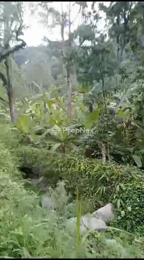 Dijual Tanah Trawas daerah Sekuti — foto 3