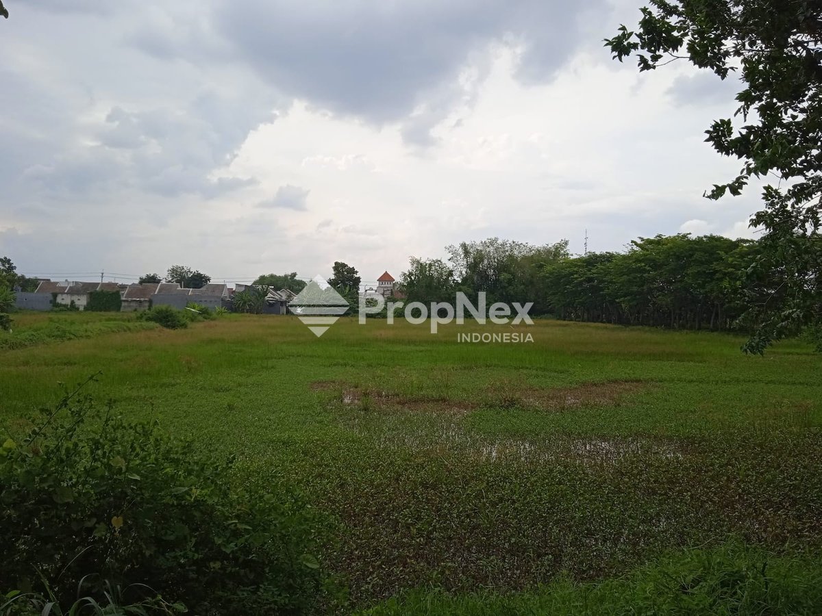 Lingkar Timur Sidoarjo