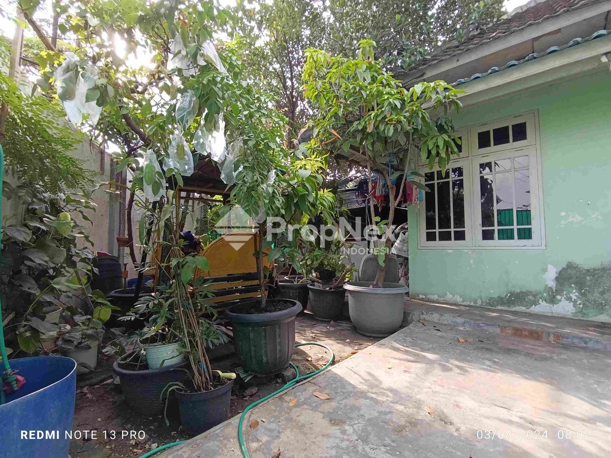 sukomanunggal — foto 3