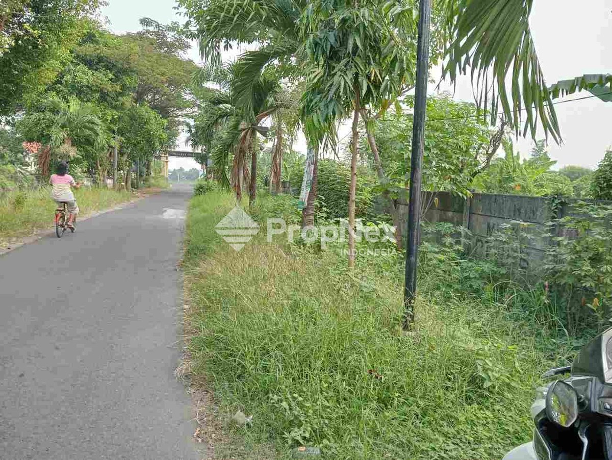 Tanah Balong bendo — foto 2