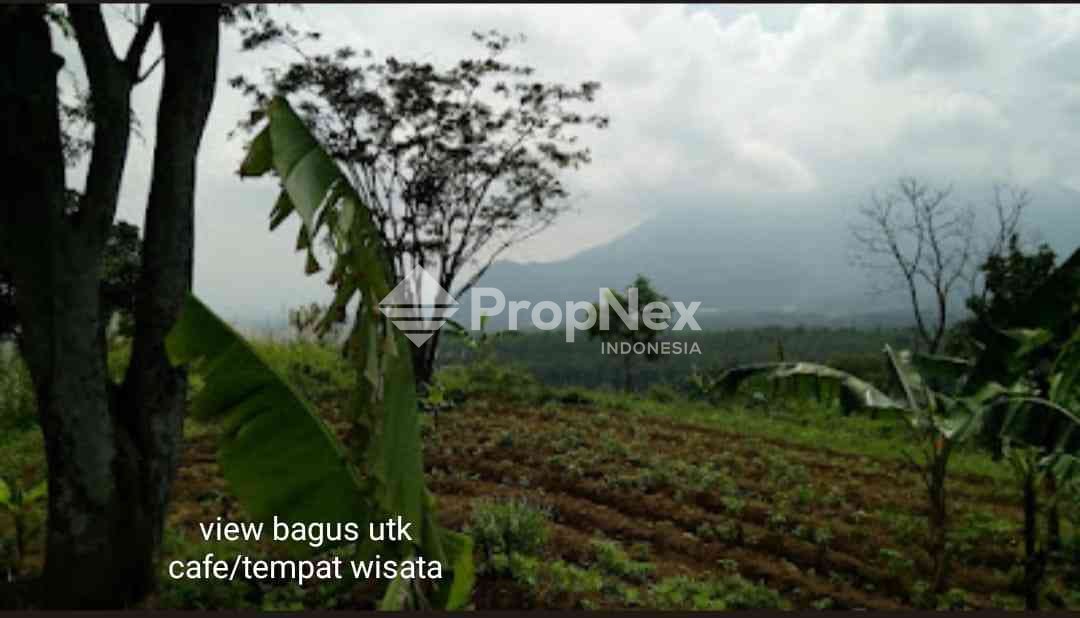 Tanah Komersial Desa Cembor - Pacet Mojokerto