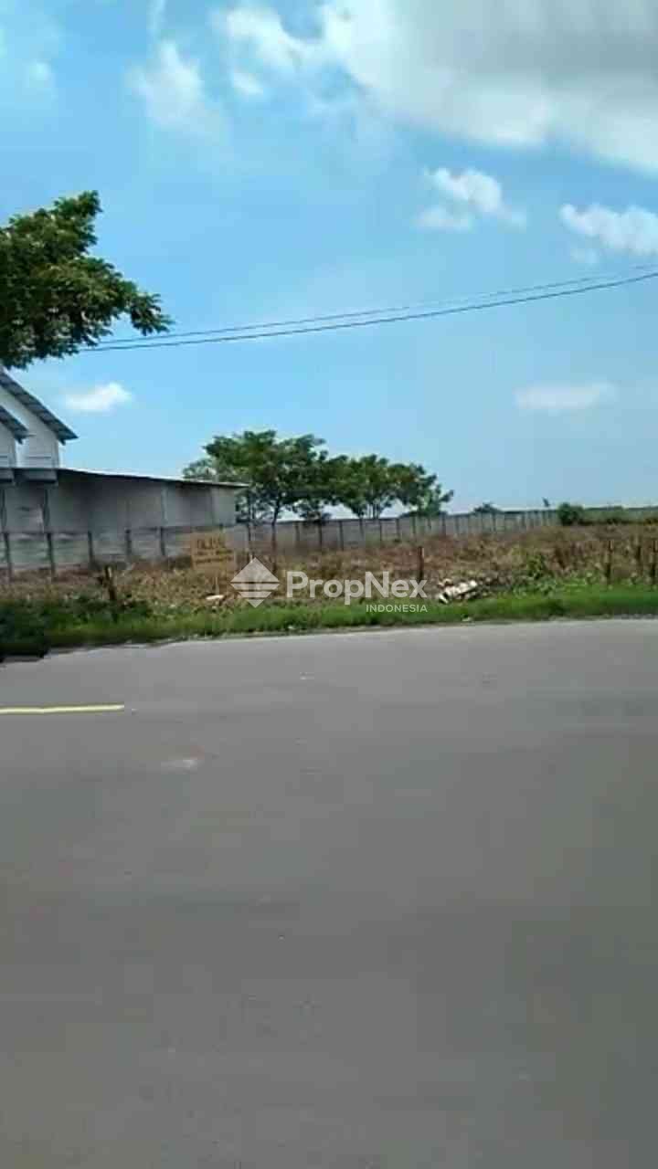 Tanah Industri Widang - Tuban