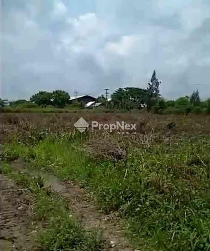 Tanah Industri Widang - Tuban — foto 3