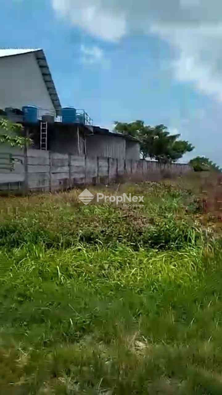 Tanah Industri Widang - Tuban — foto 4