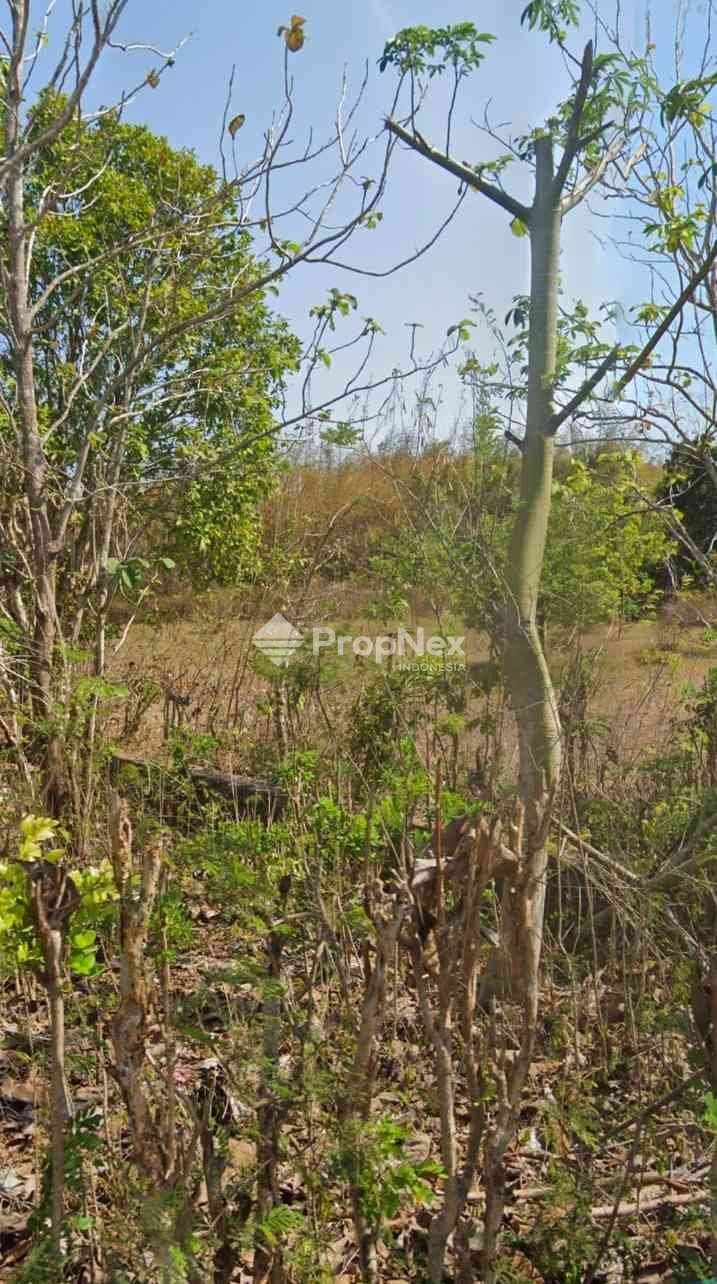 Tanah SIap Bangun Di Desa Kutuh Badung