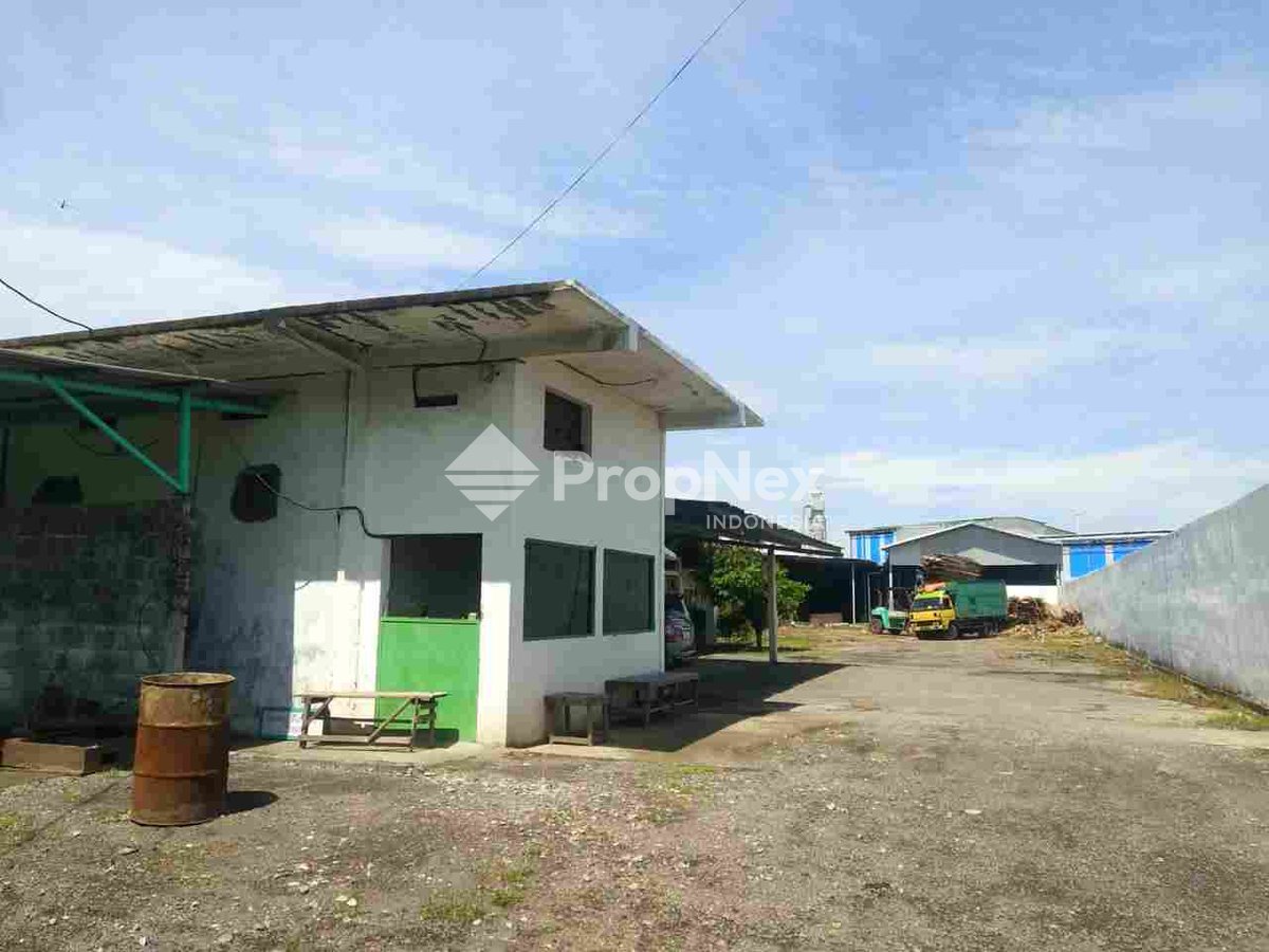 Mayjend Sungkono Pabrik Sawmill Kayu — foto 2