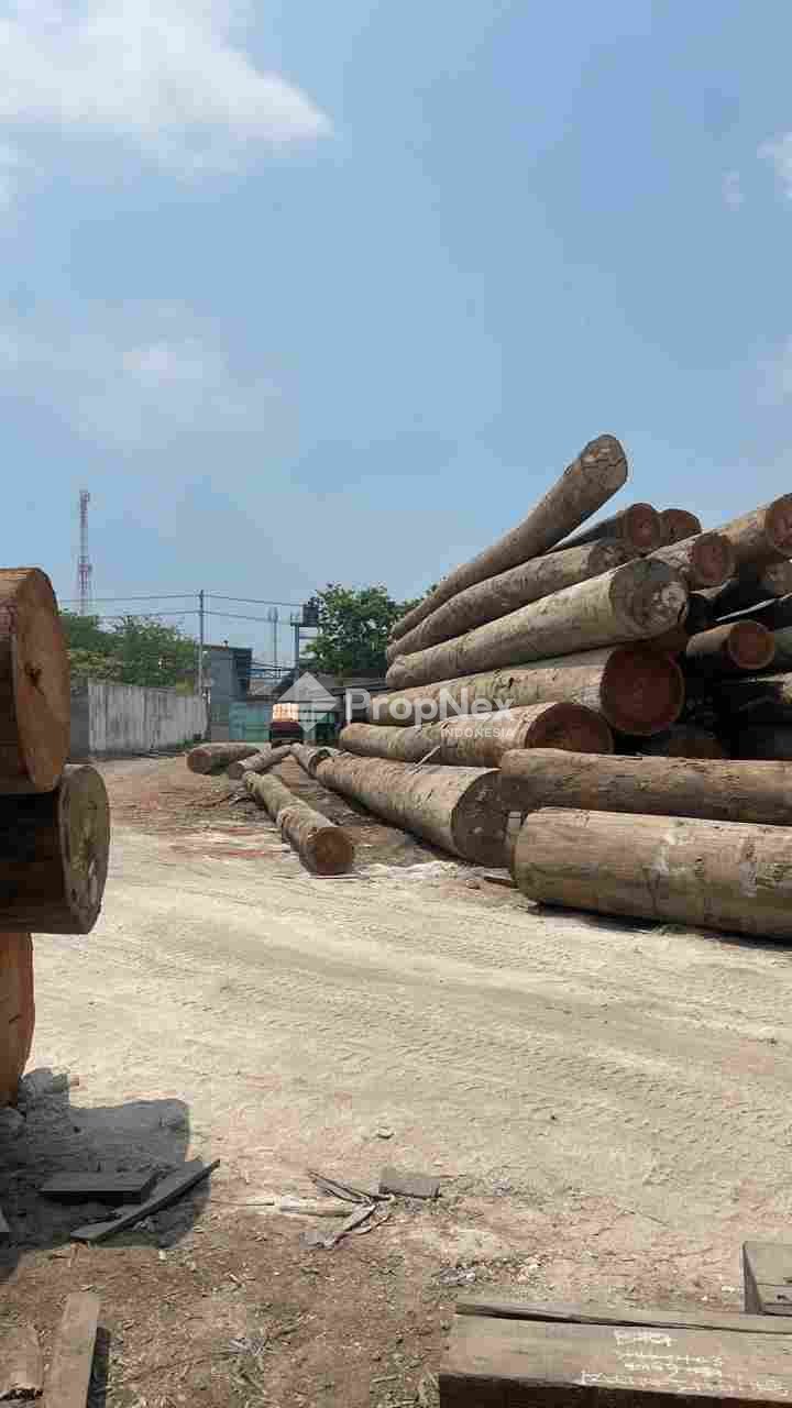 Mayjend Sungkono Pabrik Sawmill Kayu — foto 9