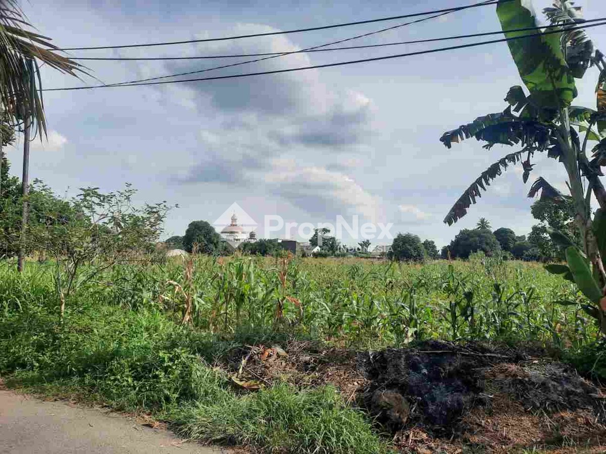 Jual Tanah nol Jl Johor Medan Dekat kantor Diklat Keuangan Johor Medan — foto 2