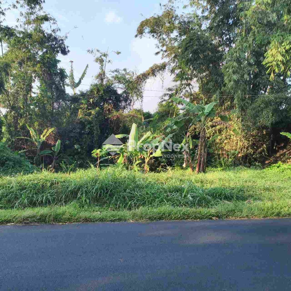 TANAH DIJUAL