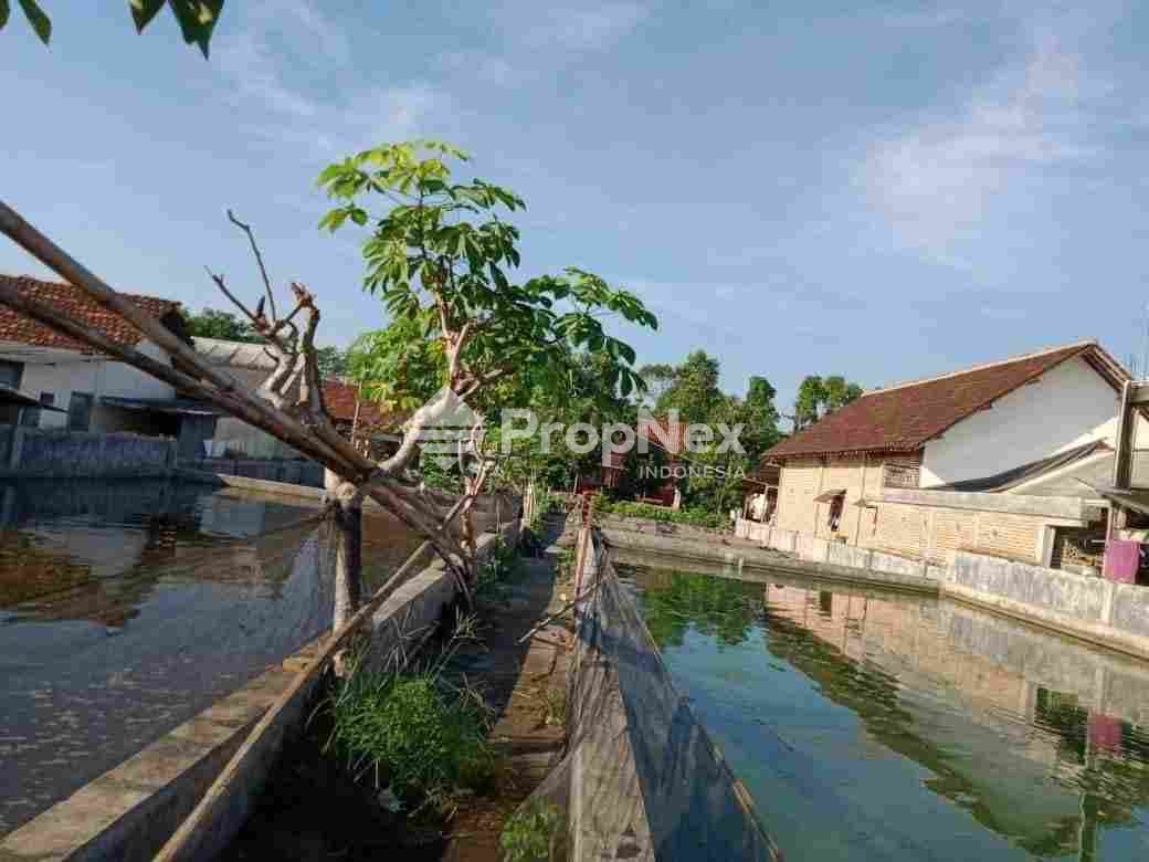 Dijual Tanah Tambak Ikan di Tulungagung