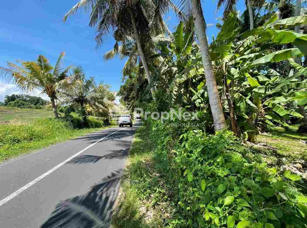 Tanah Dekat Pantai Pasut Area Tabanan Regency Bali — foto 3