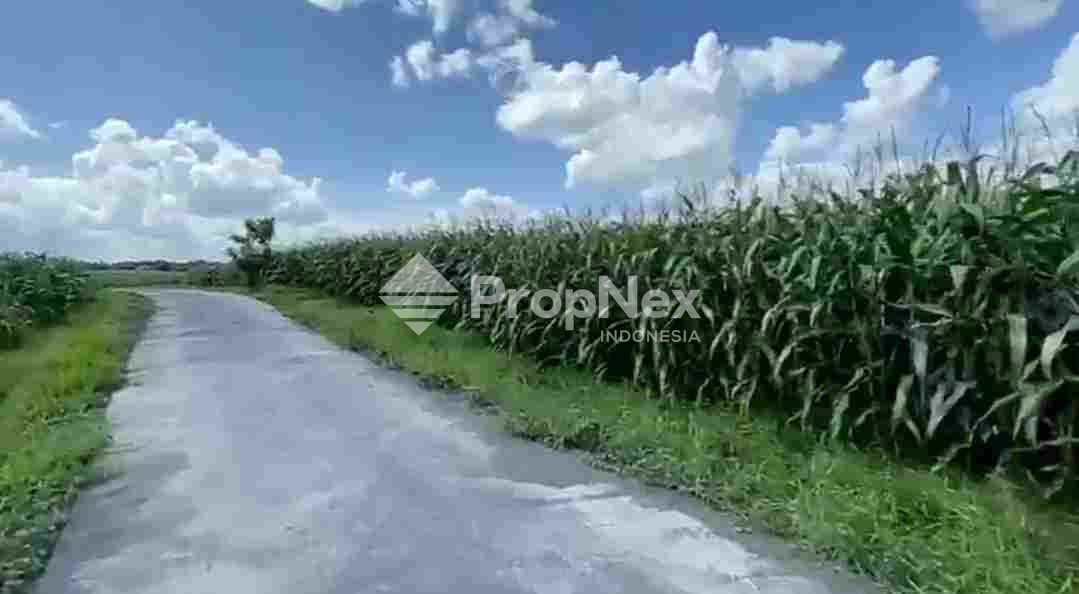 Tanah Dekat Pantai Pasut Area Tabanan Regency Bali — foto 9