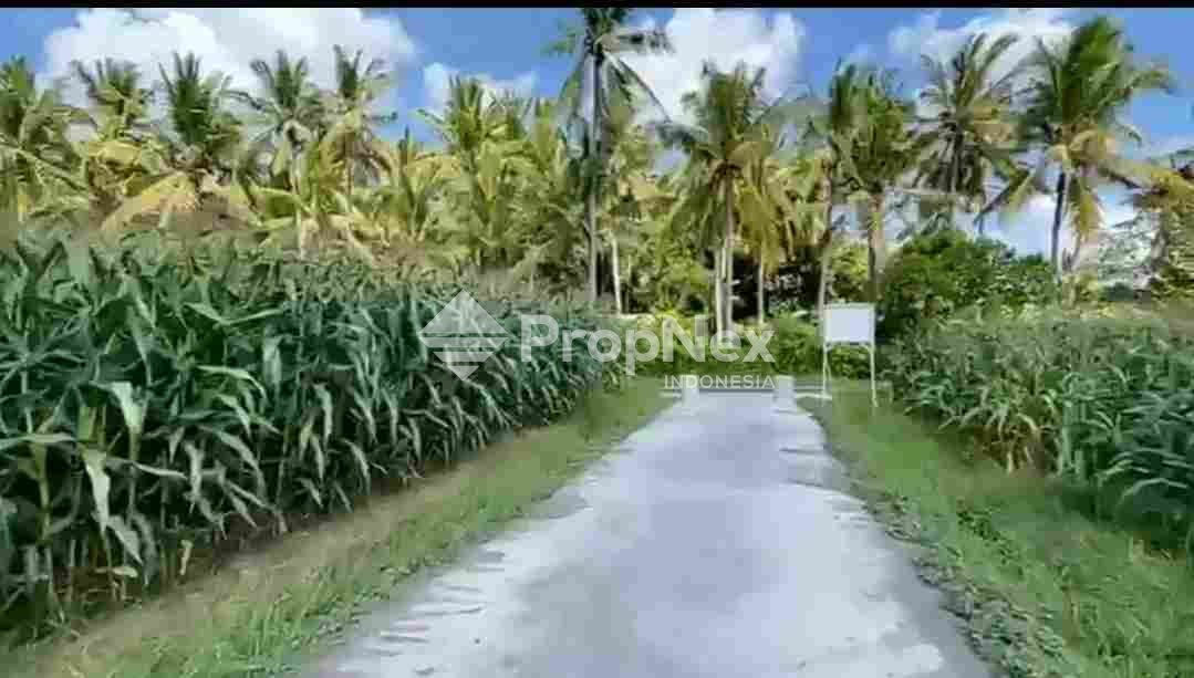 Tanah Dekat Pantai Pasut Area Tabanan Regency Bali — foto 10