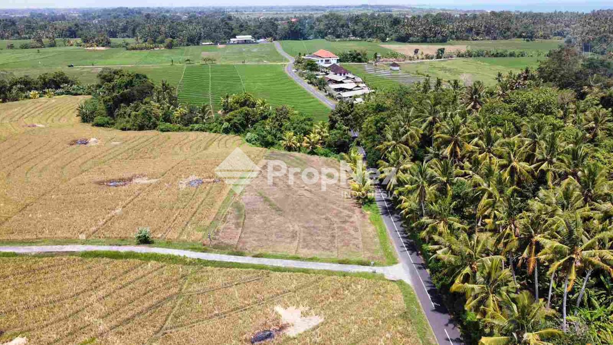 Tanah Area Tabanan Regency Bali Pantai Pasut — foto 4