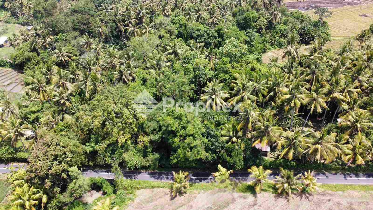 Tanah Area Tabanan Regency Bali Pantai Pasut — foto 5