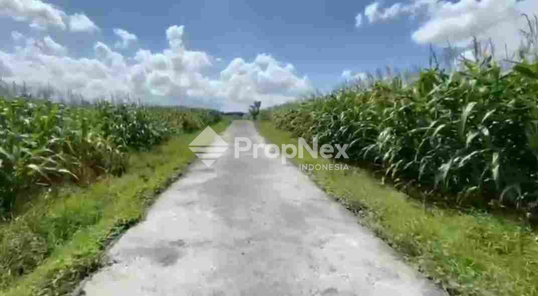 Tanah Area Tabanan Regency Bali Pantai Pasut — foto 7