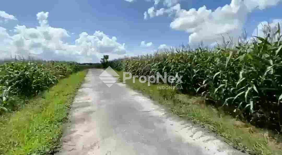 Tanah Area Tabanan Regency Bali Pantai Pasut — foto 8