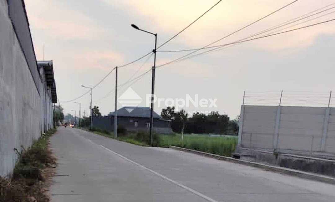 Gudang Raya Jetis Mojokerto — foto 6