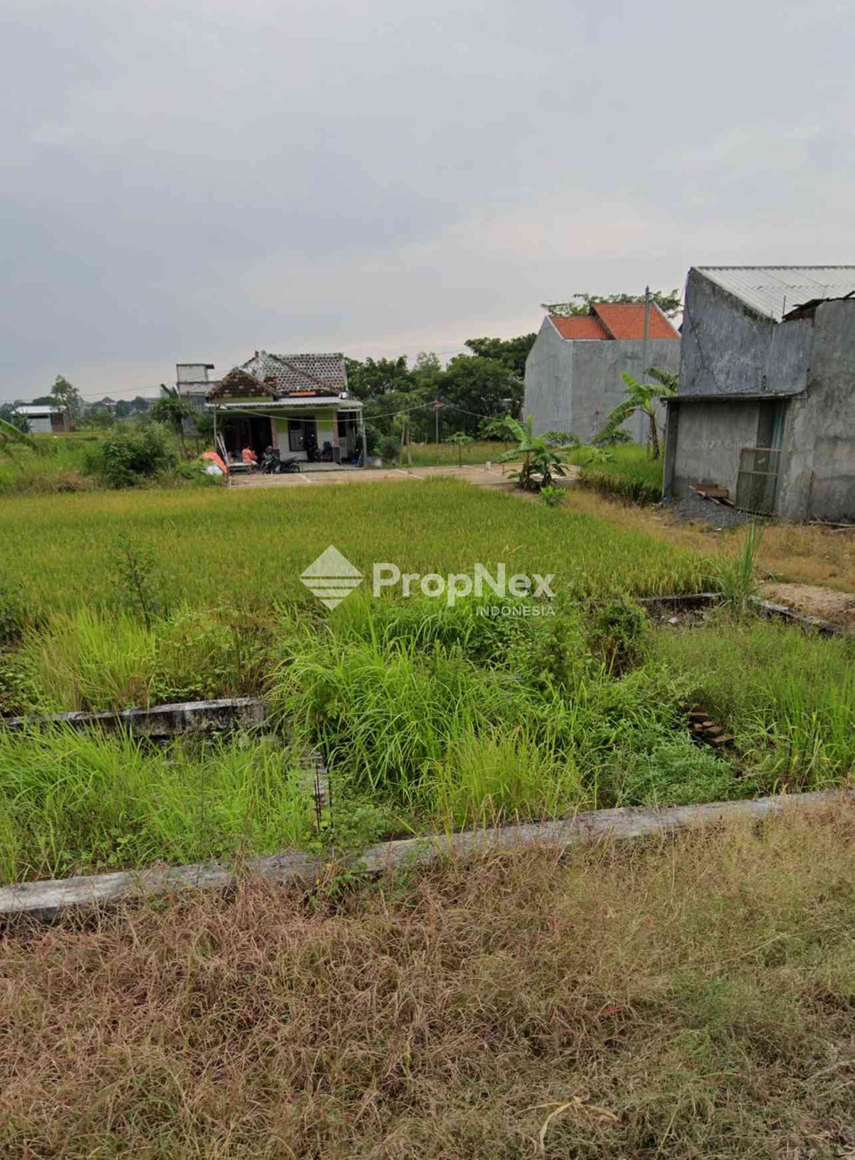 Menganti Krajan Gresik